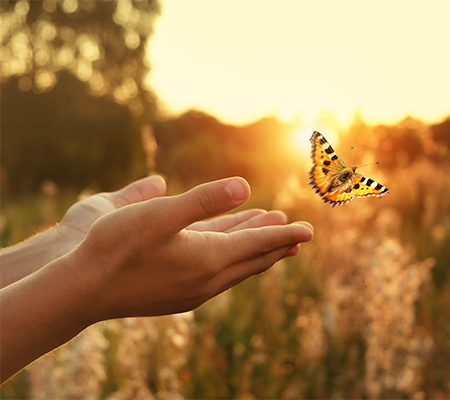 Being Humany: Reflections from a Therapist